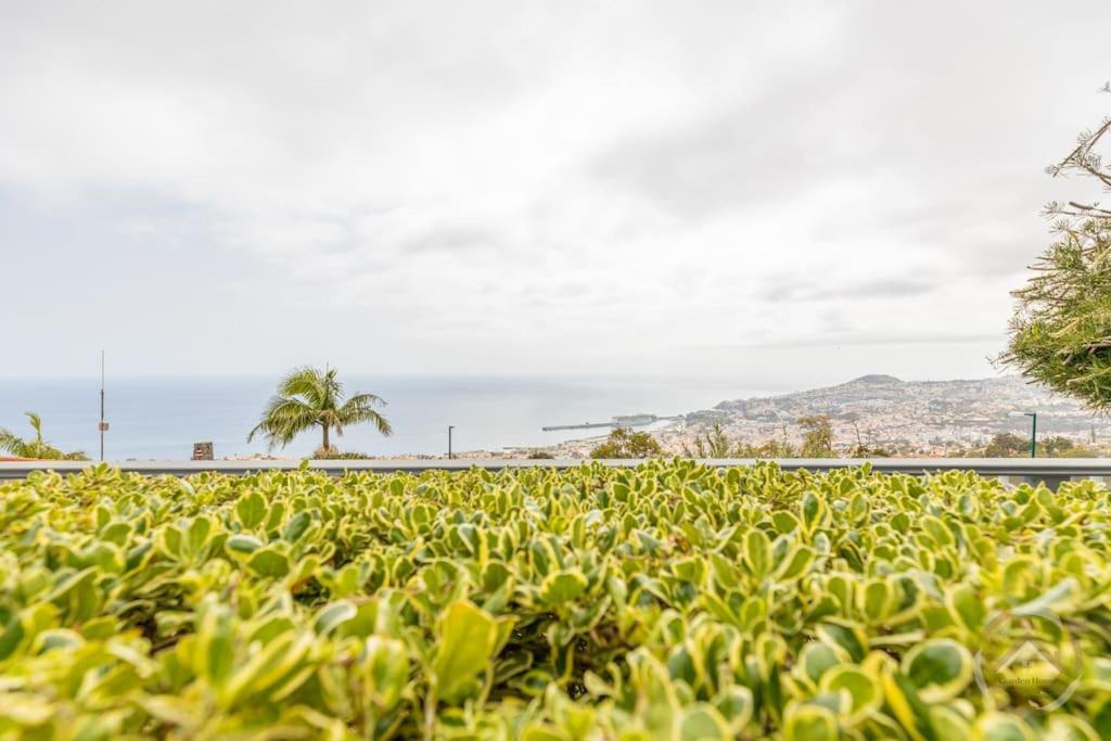 Garden House Villa Funchal  Ngoại thất bức ảnh